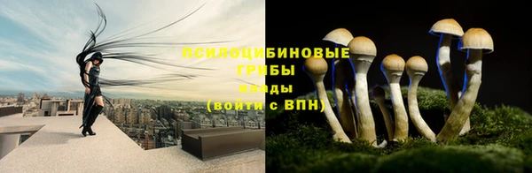 ALPHA PVP Арсеньев